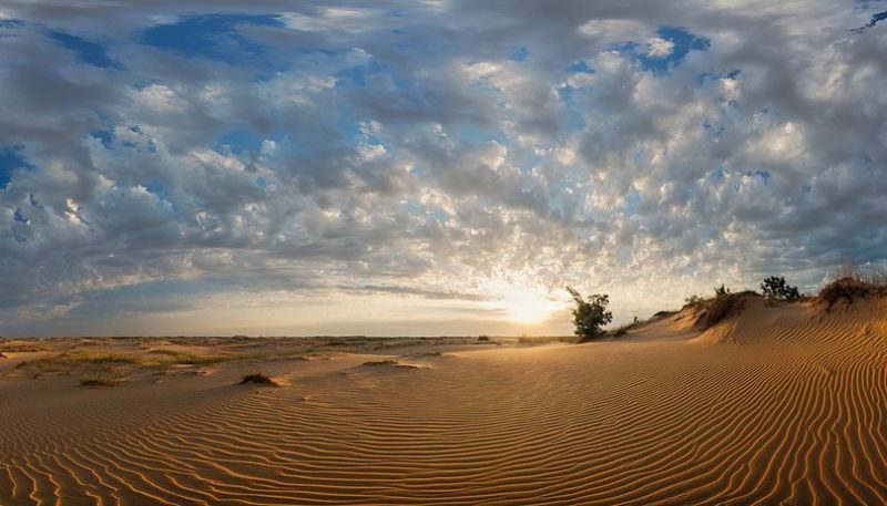 Олешковские Пески