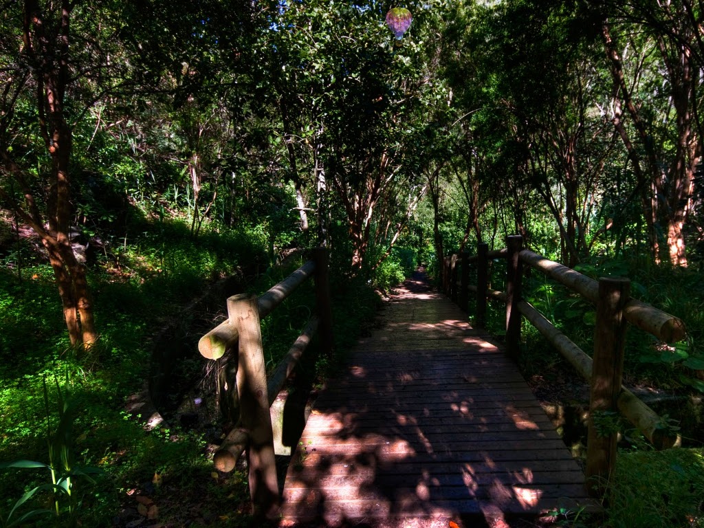 Лаймовые рощи