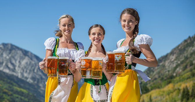 Лучшие сорта украинского пива: посадка и уход