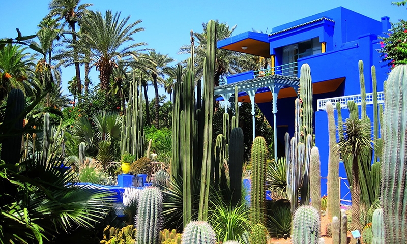 jardin majorelle