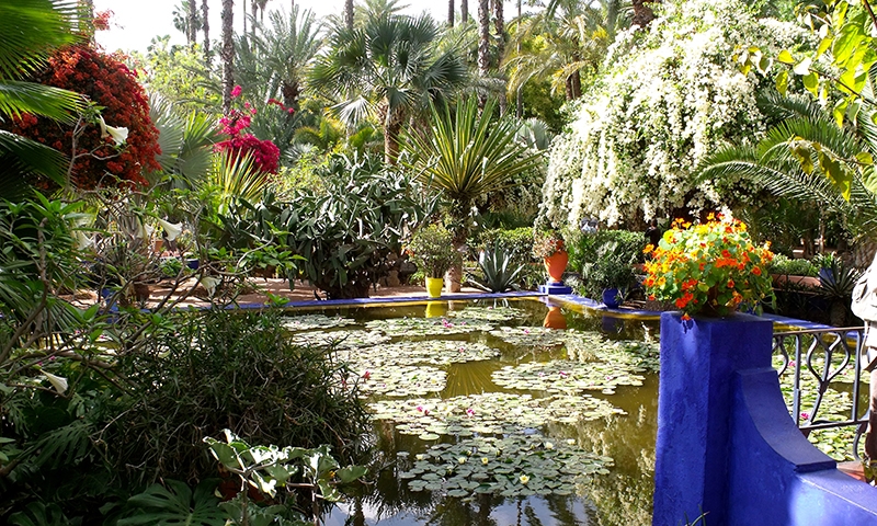 Озеро в саду Мажореля