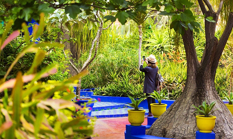 турист в саду Мажореля