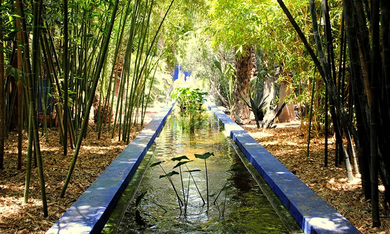 Сад Мажореля, Марракеш