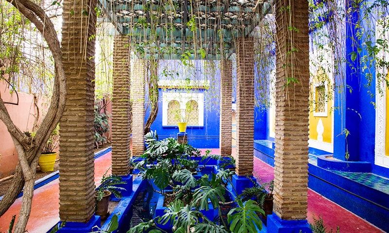 Сад Мажореля в Марракеше