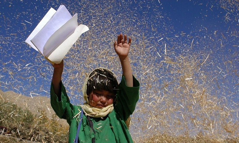 Будда рухнул от стыда