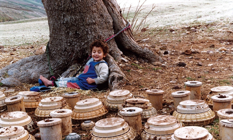 И черепахи умеют летать