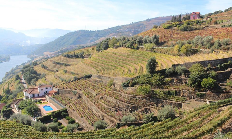 Пейзаж Дору