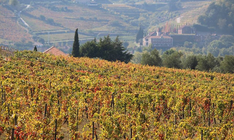 Вид на долину Дору