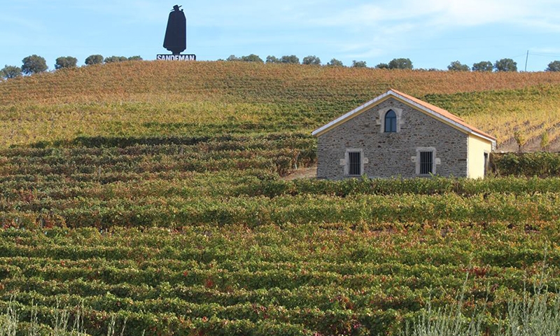 Винодельческий район Алту-Дору