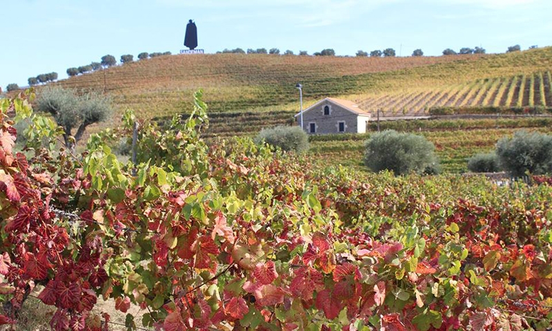 Виноградники долины Дору