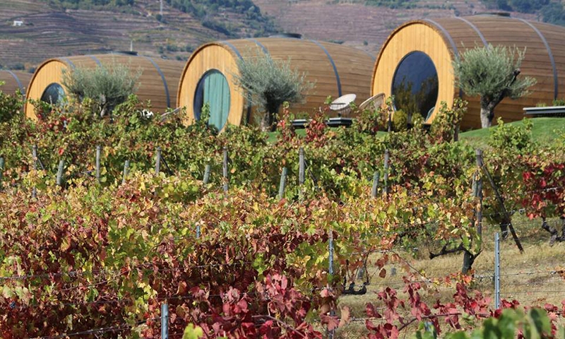 Изготовление вина в Дору