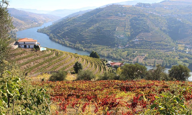 Балконы над рекой