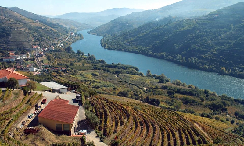 Река в Дору