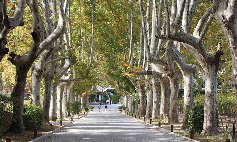 Долина Дору