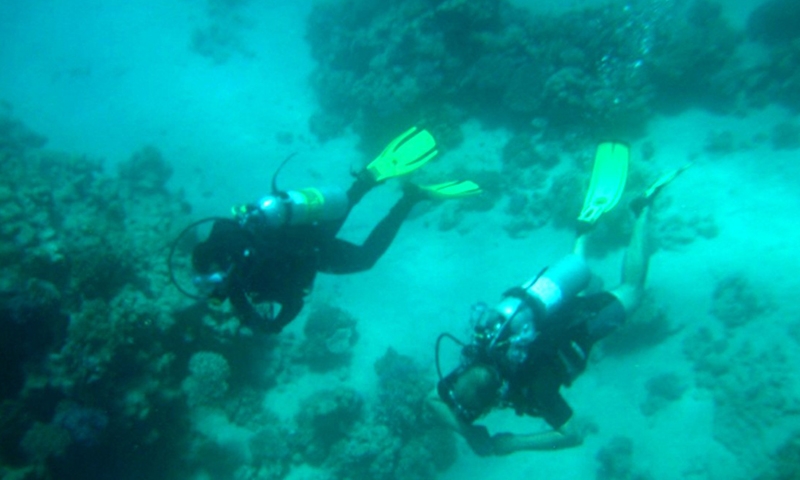 Дайвинг в отеле Concorde El Salam Hotel