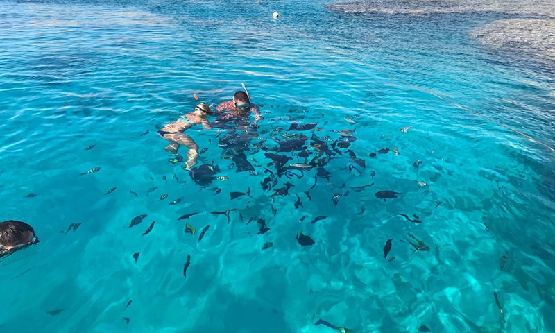 Снорклинг в отеле Reef Oasis Beach Resort