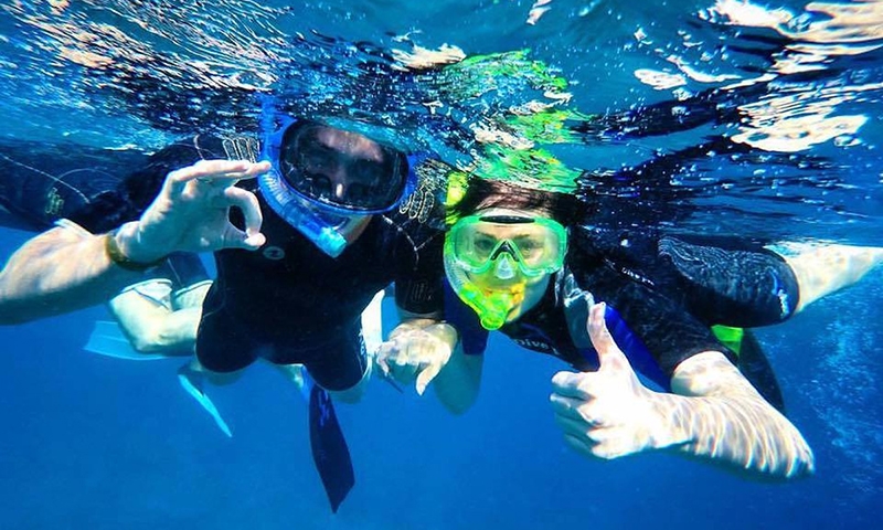 Сноркелинг в отеле Reef Oasis Beach Resort