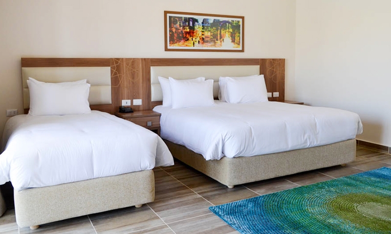 Номер в отеле Albatros Aqua Park