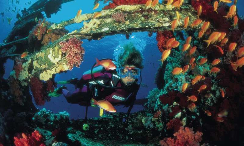 Дайвинг у берегов Ali Pasha Hotel