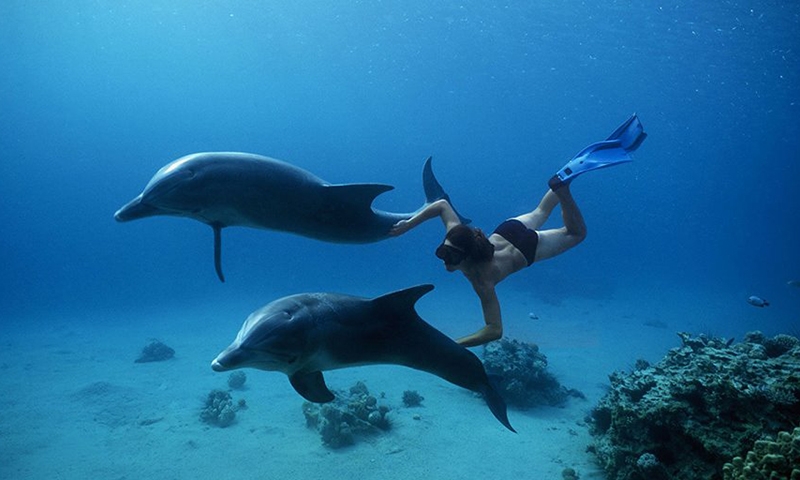 Развлечения в Ali Pasha Hotel