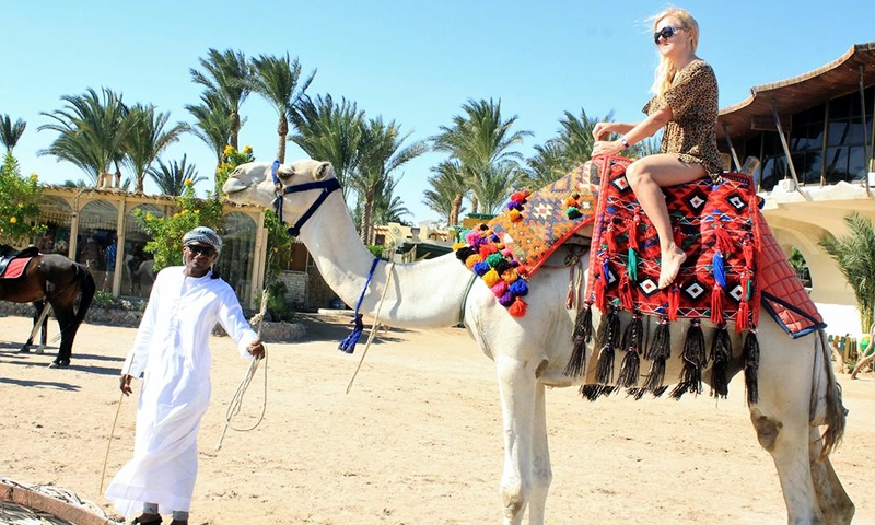 Развлечения в Magawish Village & Resort