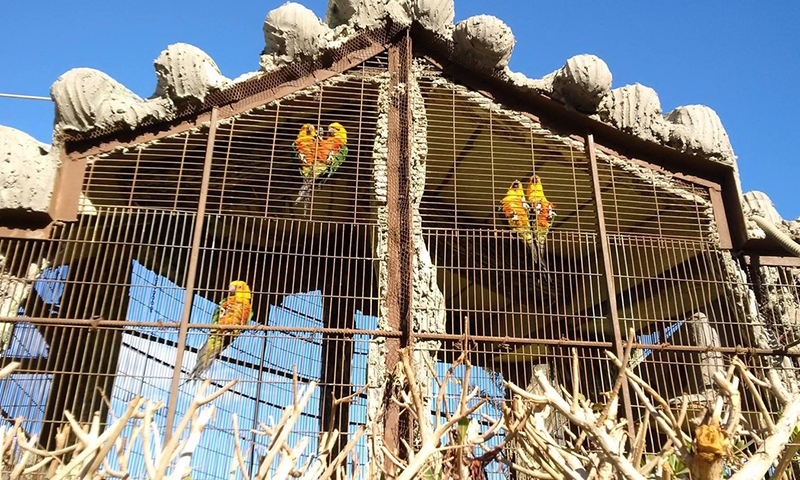 Зоопарк SeaGull Beach Resort 