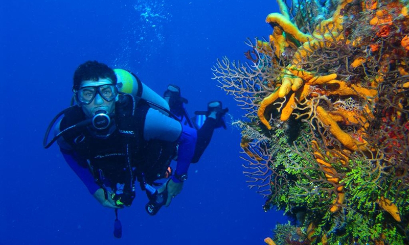 Дайвинг в отеле Steigenberger Al Dau Beach
