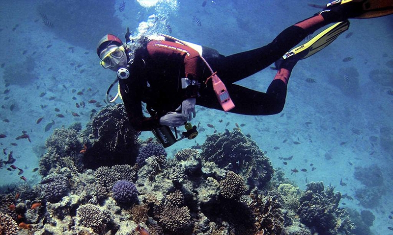 Дайвинг в Sunrise Holidays Resort