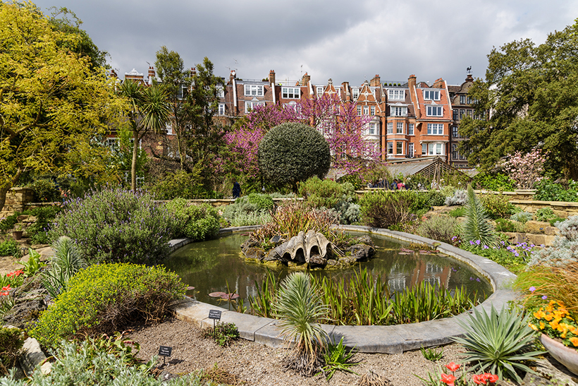 Аптекарский сад Челси (Chelsea Physic Garden)