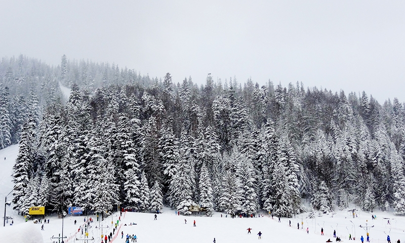 Катание на лыжах в Закопане
