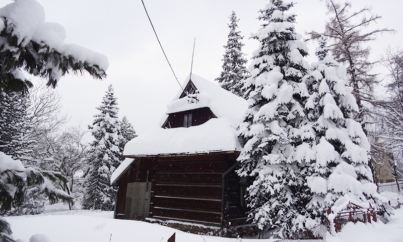 вилла в закопане