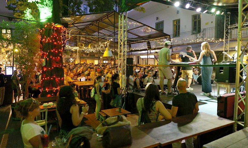 Развлечения в The Hive Party