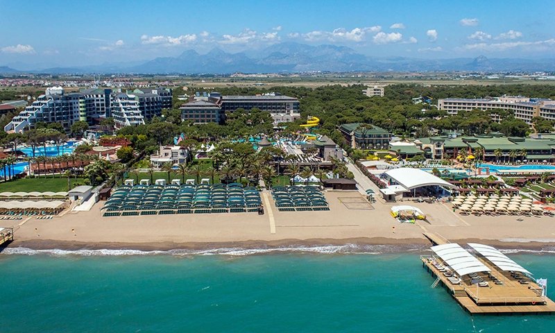 Papillon Ayscha территория