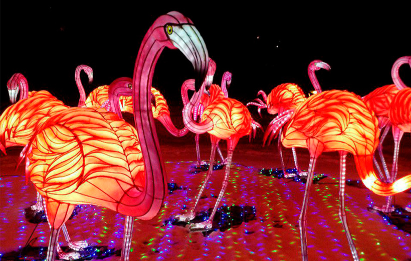 Фестиваль гігантських китайських ліхтарів