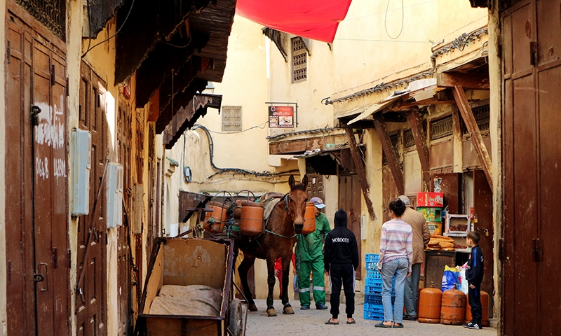Медина Марракеша