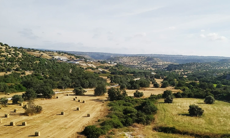 по дороге к селам кипра