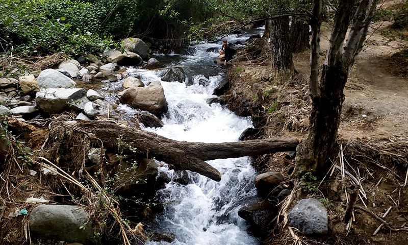 река какопетрия