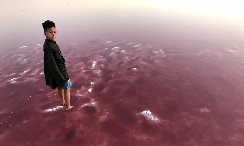 Розовое озеро