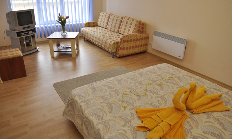 Номер в отеле Виолис