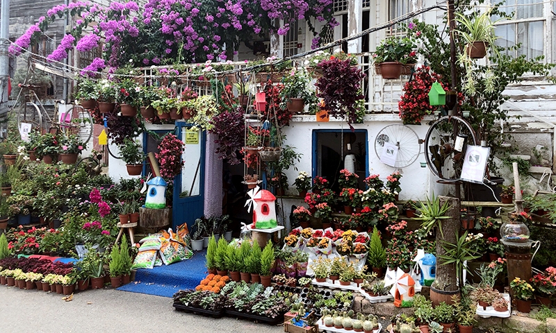 Хейбелиада