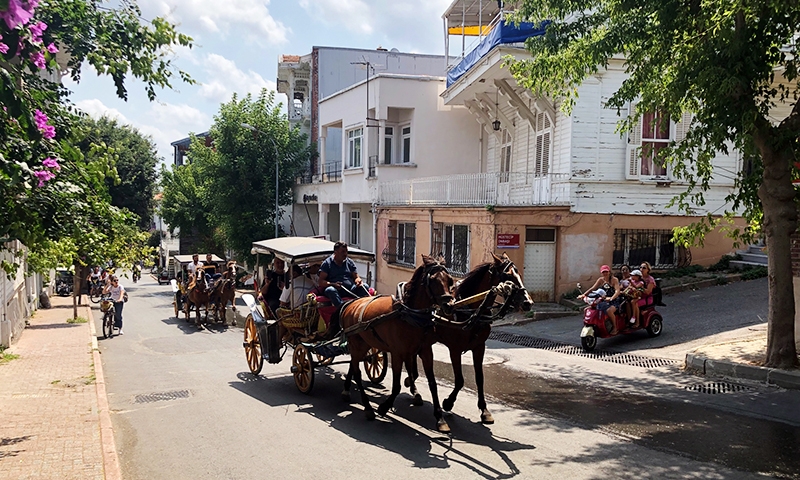 Хейбелиада