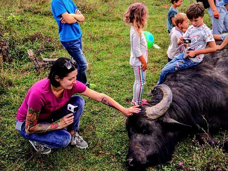 Буйволиная ферма Карпаты