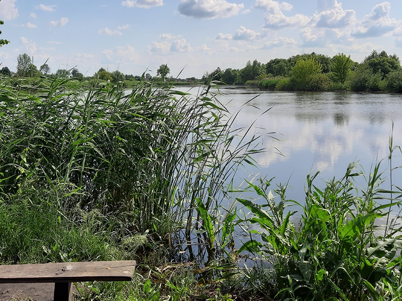 Домик рыбака