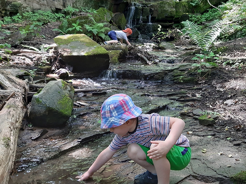 Житомирская дамба