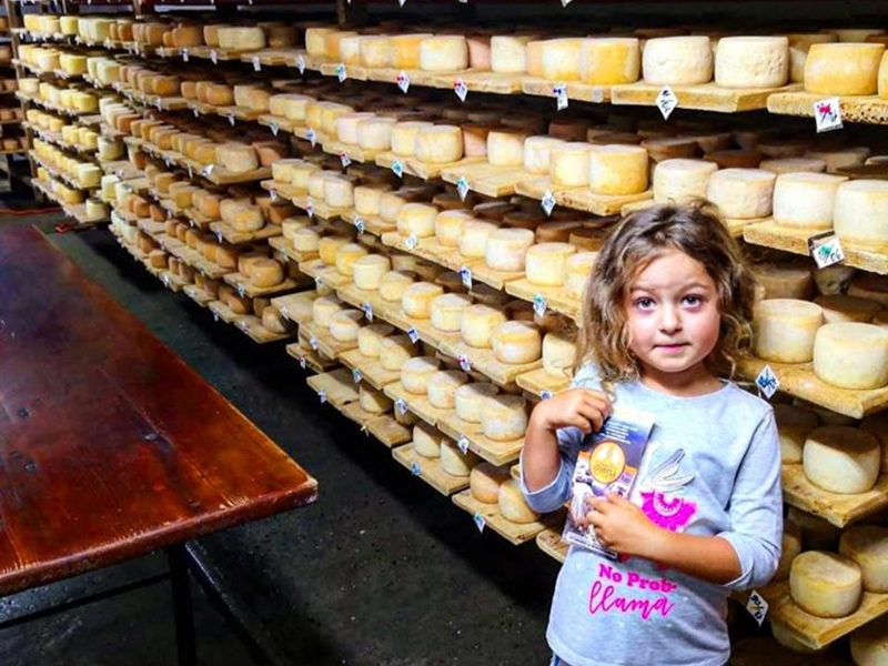 Сыроварня Селиская