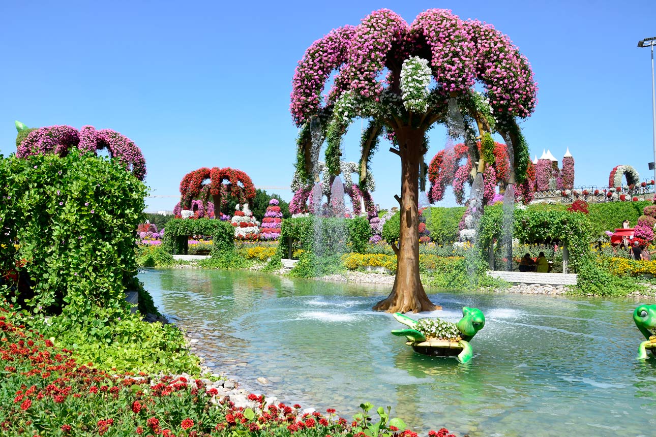 Дубайский Парк цветов