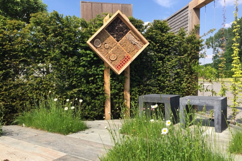 Пчелиный Отель в Амстердаме