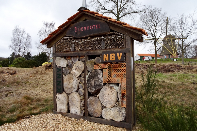 Отель для пчел в Амстердаме