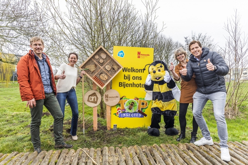 Пчелиный отель Амстердам