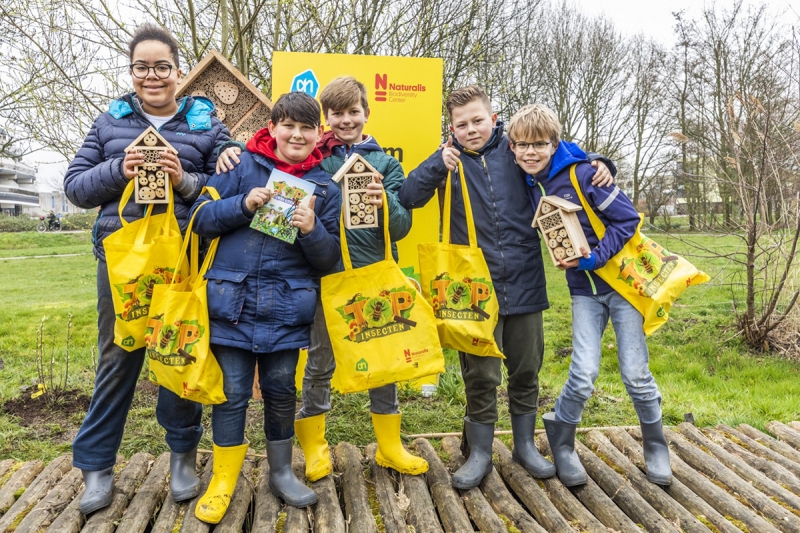 Экскурсия в пчелиный отель, Амстердам 